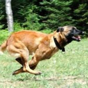 Shipping w/in 24 hours!